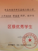 薛老师儿子荣誉资质